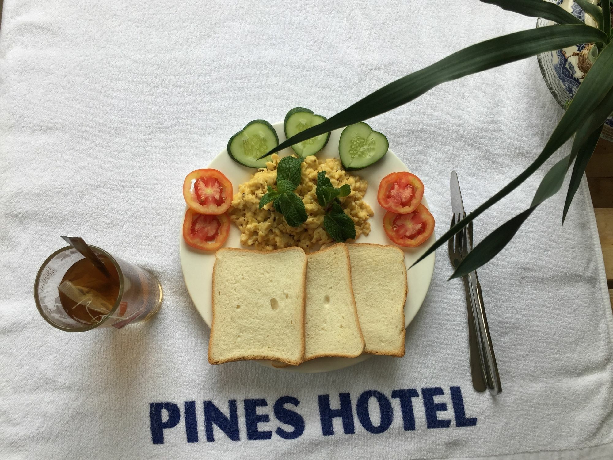 Pines Hotel Da Lat Dış mekan fotoğraf